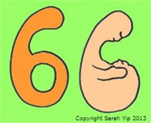 Sarah Yip 6 Lifepath Numerology